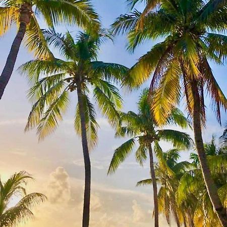 Vc Beach Suites Isla Mujeres Exterior foto